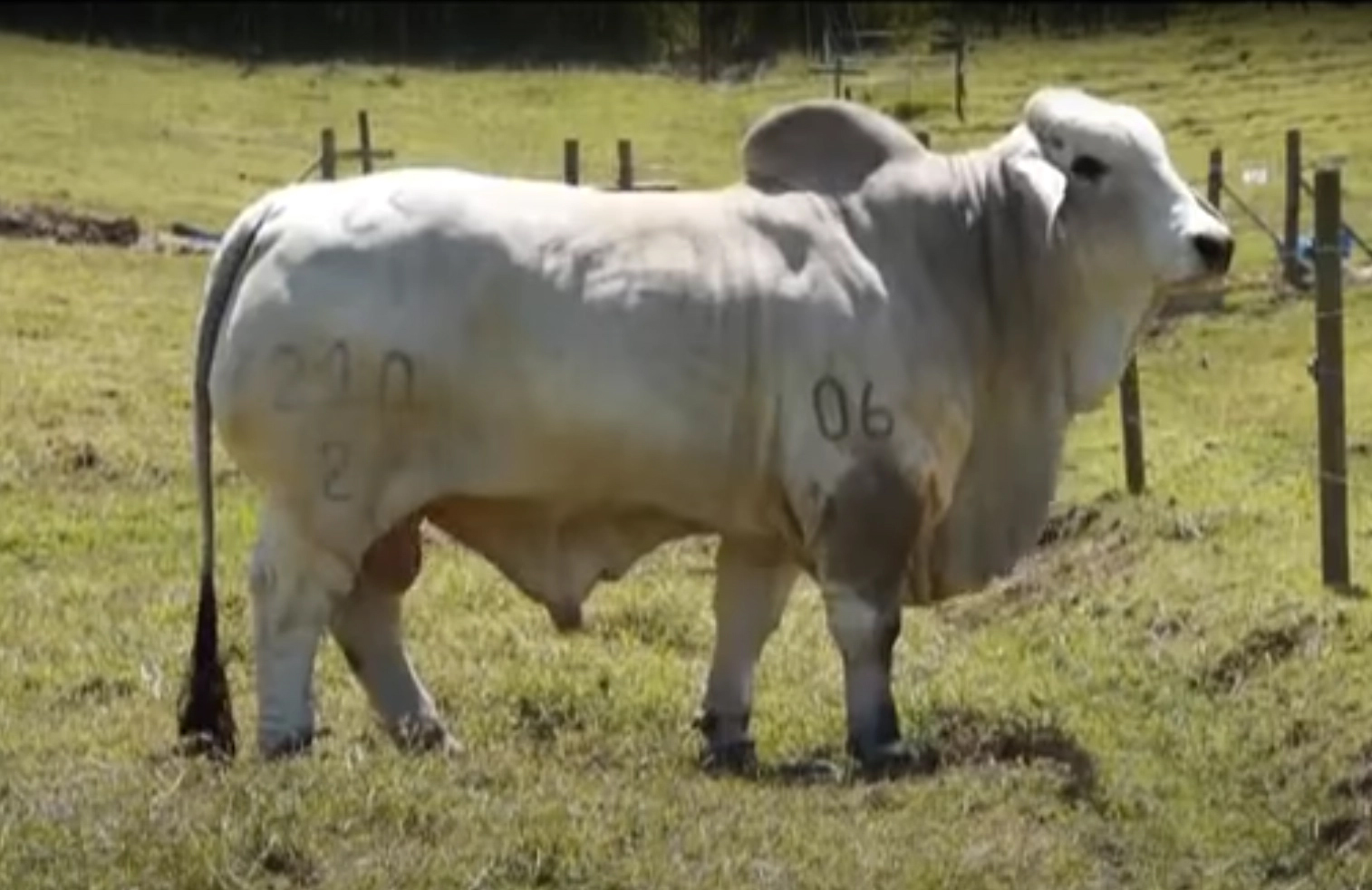 2R EL ALIVIO 206 210/2 T.E.