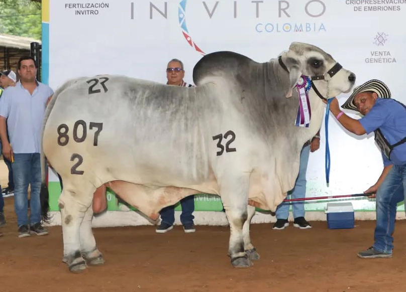 2R EL ALIVIO 2032 807/2