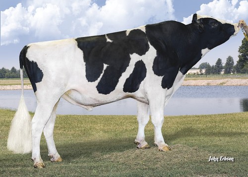 S-S-I MONTROSS DUKE-ET