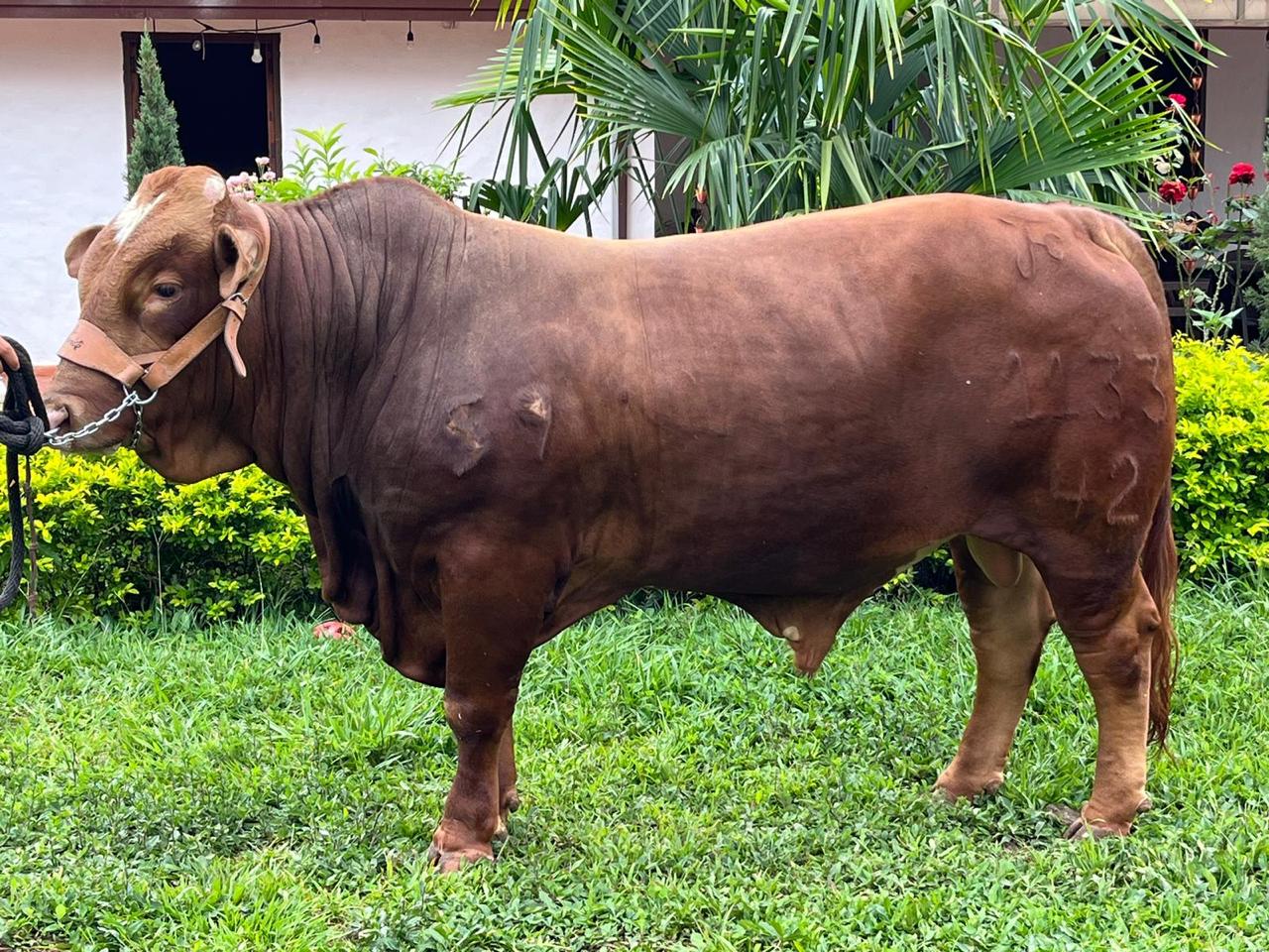 PROVIDENCIA OCTAVIANO 1133-42