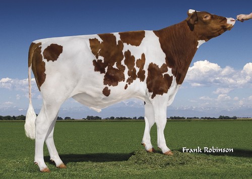 Ri-Val-Re Rager-Red-ET