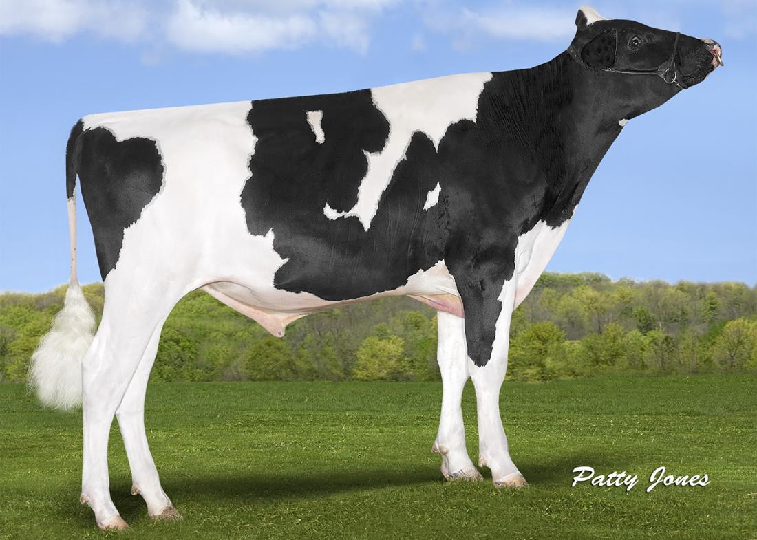 St Gen Delta Rebel-ET