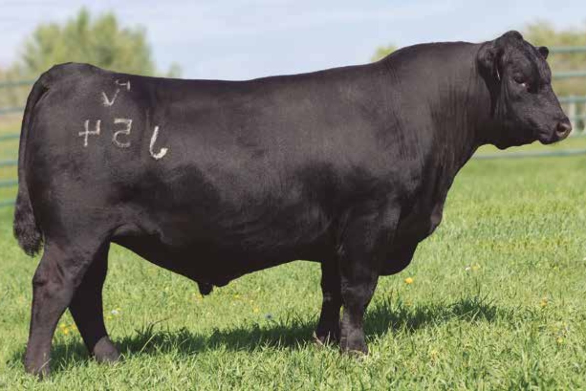 PINE VIEW TOWNSHIP J54