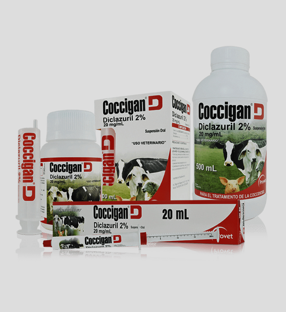 Coccigan D Provet