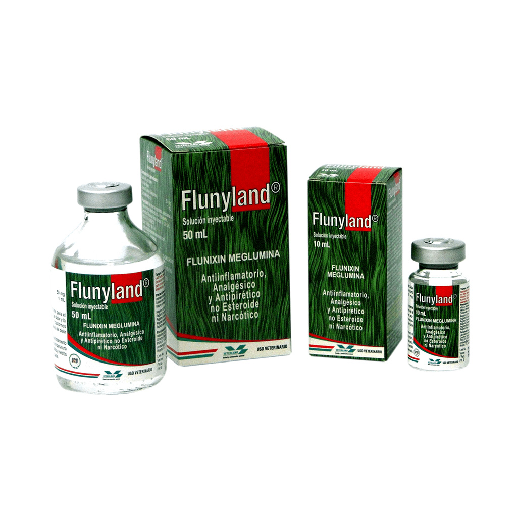 Flunyland Veterland